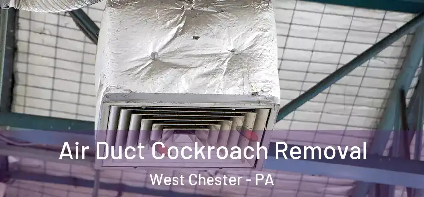  Air Duct Cockroach Removal West Chester - PA