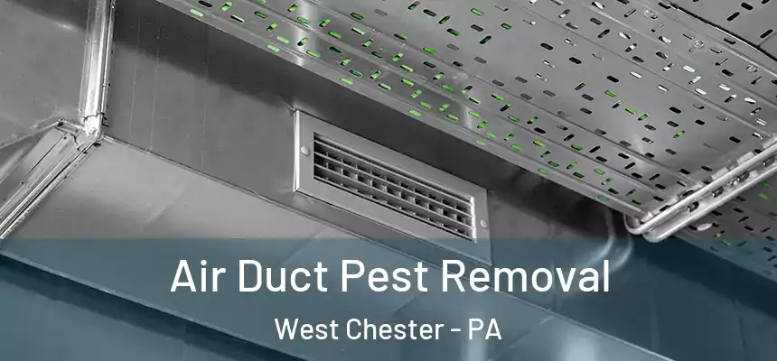  Air Duct Pest Removal West Chester - PA