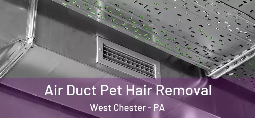  Air Duct Pet Hair Removal West Chester - PA