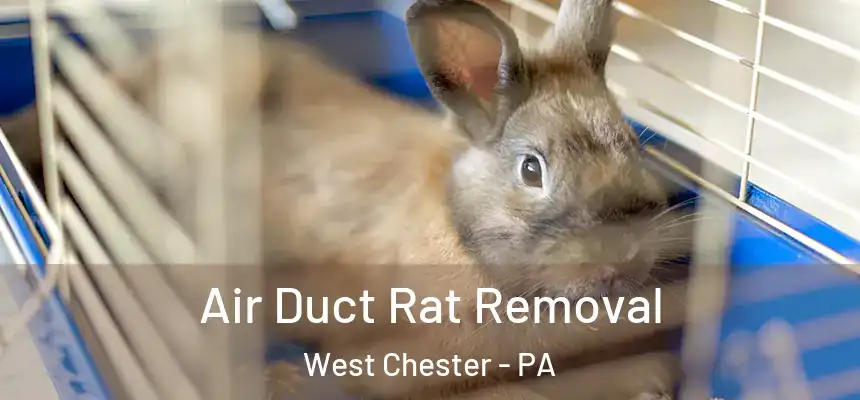  Air Duct Rat Removal West Chester - PA
