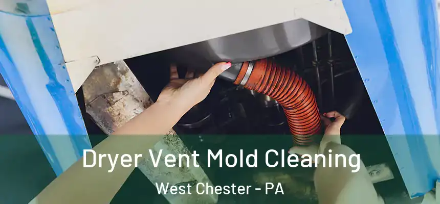  Dryer Vent Mold Cleaning West Chester - PA