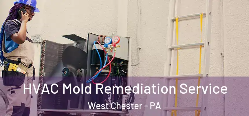  HVAC Mold Remediation Service West Chester - PA