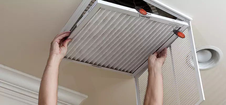Preventive Cockroach-Proofing for Ducts in West Chester