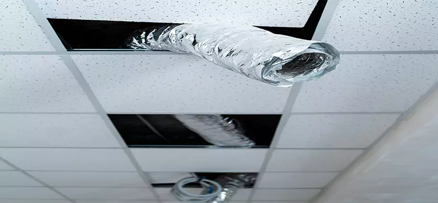 Our Air Duct Pet Hair Removal Services in West Chester, PA