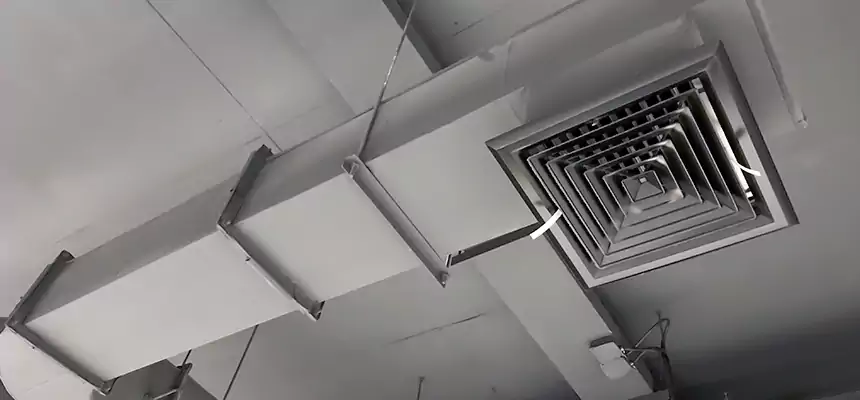 Our Pest Removal From Ducts Services in West Chester, PA