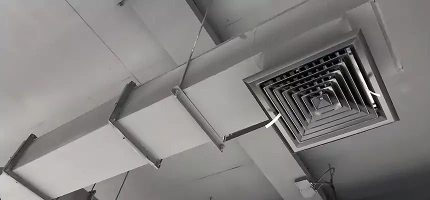 Our Rodent Droppings In Vents Services in West Chester, PA