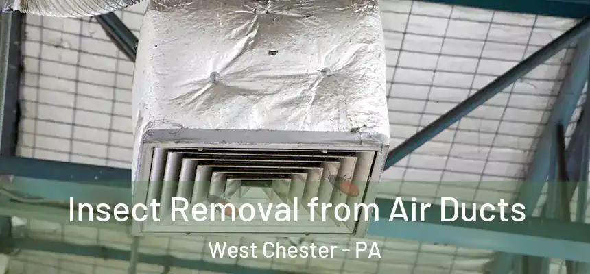  Insect Removal from Air Ducts West Chester - PA