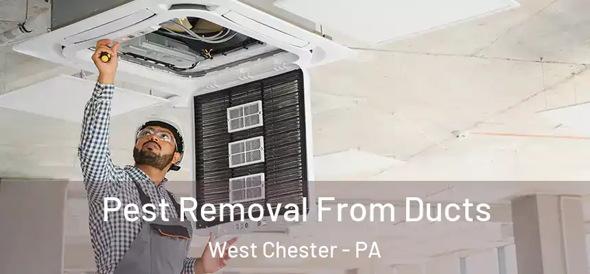  Pest Removal From Ducts West Chester - PA