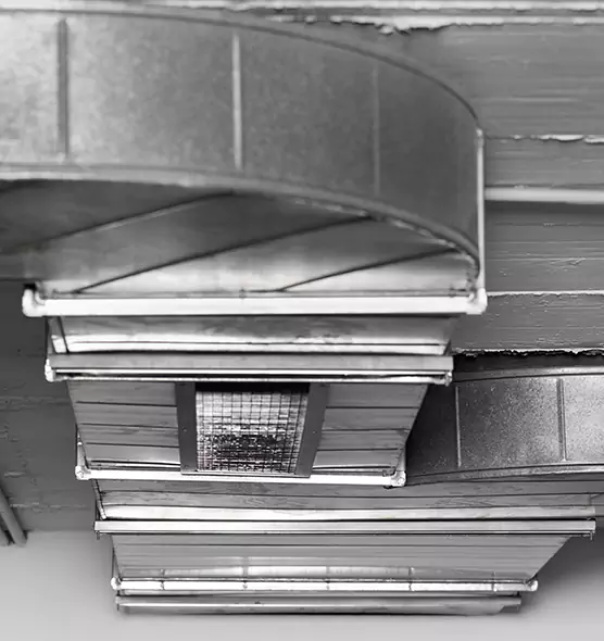 Professional Air Duct Pest Removal in West Chester, PA