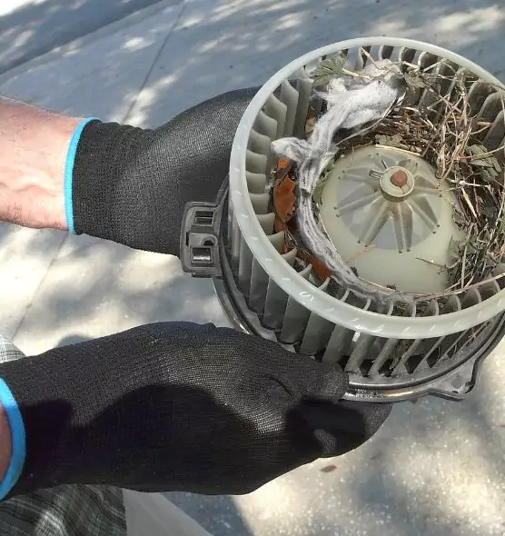 About Air Duct Rat Removal in West Chester, PA