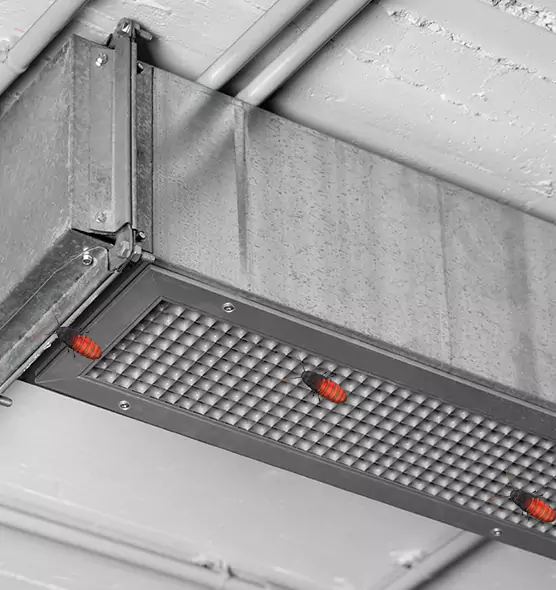 Affordable Insect Removal from Air Ducts in West Chester, PA