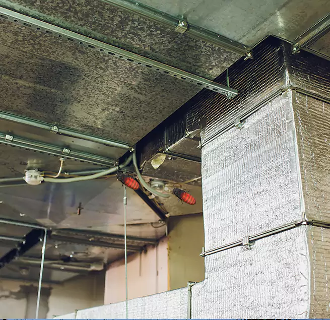 Why Homeowners & Businesses Trust Us in West Chester, PA?