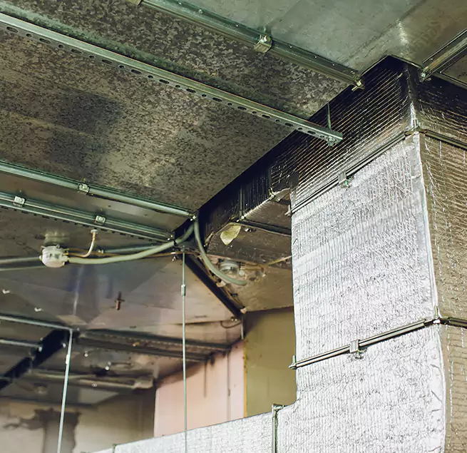 Why Homeowners & Businesses Trust Us in West Chester, PA?